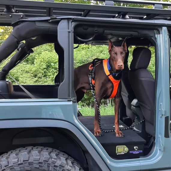 winston_in_jeep.jpg